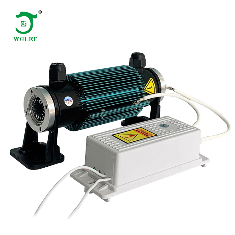 Double air-cooled 5g/h ozone generator