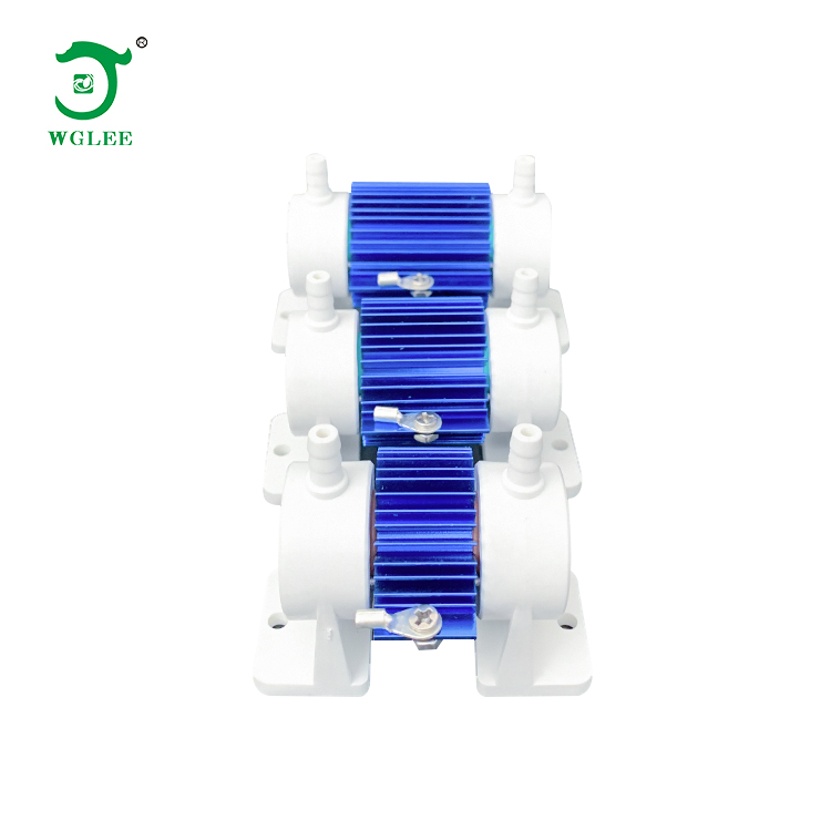 Air cooled 300mg 500mg 1000mg ozone generator