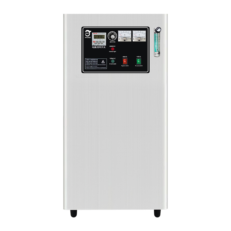 10G20G oxygen source ozone generator