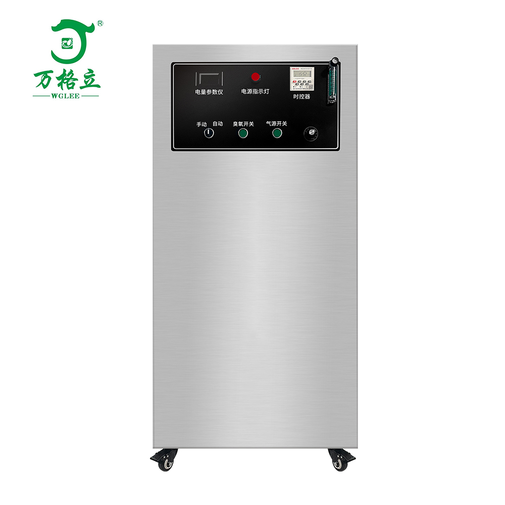 100G air source ozone generator