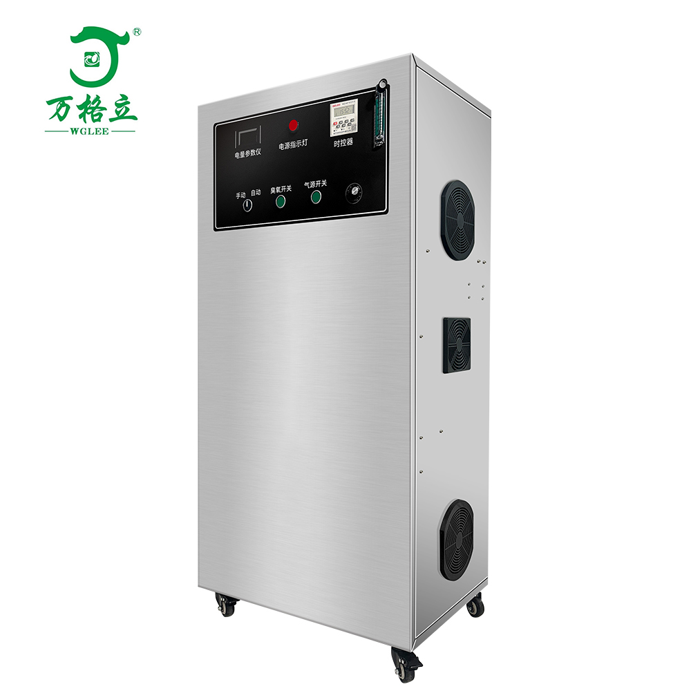 30G50G oxygen source ozone generator